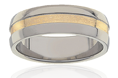 Mens Titanium & Gold Ring