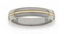 Mens Ring Titanium and Gold